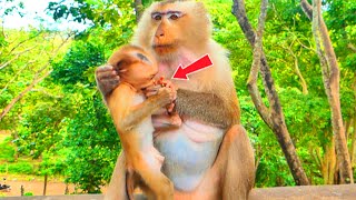 Oh God! What are you doing Ma-ma Julla? Old Mom so greedy with her hungry BB, grabbing food funnily!