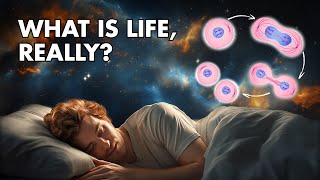 What Life Really Is — Explained While You Sleep | Sleep-Inducing Science | No Mid-video Ads