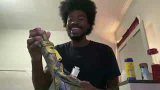 $200 SMOKE SHOP BUDGET REVIEW 