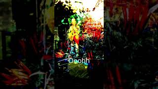 Grow - live @The Music Kitchen - lyric video