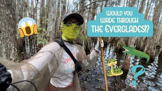 Would you WADE through the FLORIDA EVERGLADES? | Cypress Slog | Flamingo | Everglades National Park