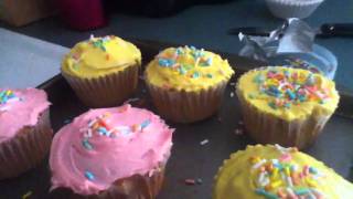Cup Cakes