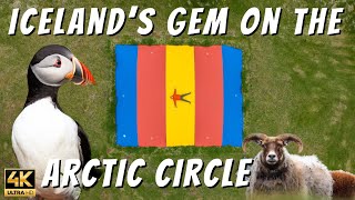 Iceland’s Gem on the Arctic Circle | Grímsey Island (Puffins, Sheep, & 4K Drone Footage!)
