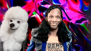 New show featuring Landis Harry Larry