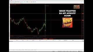 news trapper ea  link in discribtion