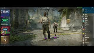 Grunty Live Stream