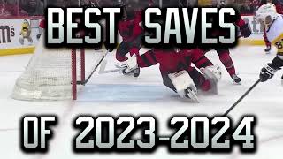 Best Saves of the 2023 - 2024 NHL Season