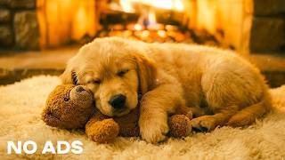 Golden Retriever Puppy Sleeping by the Fireplace 🧸🔥 | Cozy Dog Sleep Ambience (No Ads)