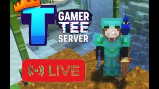 Doing pvp in Gamertee Server