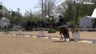 Laine Ashker & Anthony Patch Dressage at #rk3de