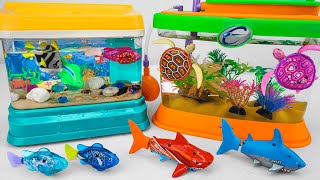 [Toy asmr] RC Turtle & RC Whale & Zuru Robo Fish & Harp's Aquarium ASMR Satisfying with Unboxing