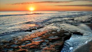 Sunshine-Tim Angrave