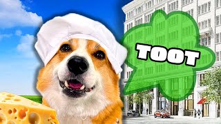 My Dog's Gas Caused a CITY LOCKDOWN 🧀🦨🦨