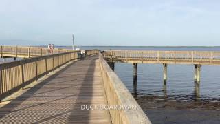 Enjoy the Beauty of the Outer Banks