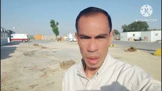 Na ubos na mga punong Kahoy pinag puputol