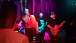 The Bowie Contingent @ West Street Live