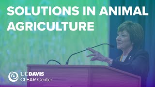 Science-Based Solutions in Animal Agriculture
