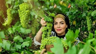 Village Life Never Tasted This Sweet 🍇 | Fresh Grapes + Warm Homemade “Kalocheh🍪