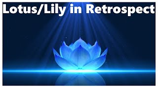 Lotus/Lily in Retrospect - A Blue Lotus & Blue Lily Trip Report