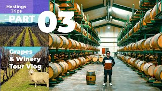 Grapes Farm & Winery tour New Zealand | Hastings Trip Part 3