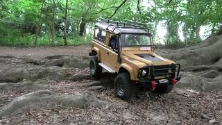 Axial SCX10 D90 Tree Roots