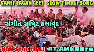 સંગીત સૃષિ્ટ કલાવૃંદ I adivasi timli song non stop | Sangeet Shrusti Kalavrund At.Amkhuta 