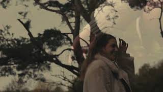 Auksvaide Autumn Video Cinematic
