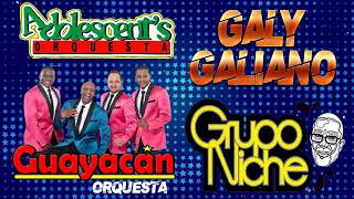 SALSA QUE HIZO HISTORIA/GRUPO NICHE, GUAYACAN, ADOLESCENTES, GALY GALIANO