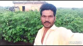 Aadivasi Desi Vlog Dilip Bamniya 💯🏹🏹