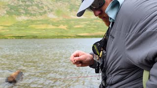 Colorado High Alpine Lake Fly Fishing Report | August Fly Patterns & Conditions | Buena Vista, CO