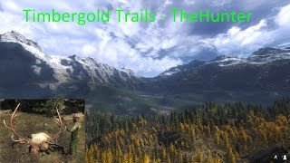 Thehunter - Timbergold Trails