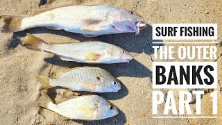 SURF FISHING the OUTER BANKS PART 1 -- A MULTI-SPECIES CATCH