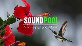SoundPool - Where to Go
