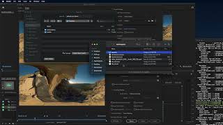 Cutting Down Immersive Videos with Spatial Audio