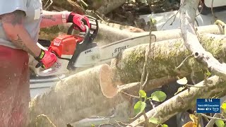 Banyan tree crashes onto Waiahole home during Kona Low storm