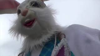 Easter bunny walking Reactions Easter Day 2022