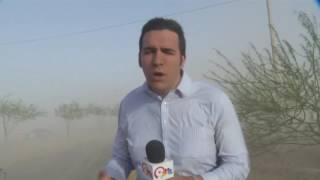 CHORUS NYLANDER - EL PASO DUST STORM (LIVE)  - NBC 9