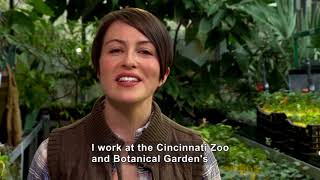 I Can Be Anything I Want to Be A to Z: Botanist (Accessible Preview)