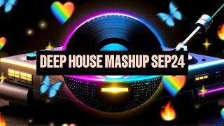 DEEP HOUSE BASS HOUSE MASHUP MUSIC SSEP24 DJELB BACK TO WORK PT2