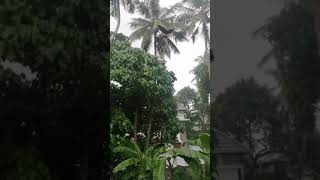 so gaya song | Sung by Jinu James | Chai time singing attempt!!