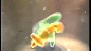 Sure - Breeding (2002, UK)