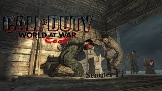 World at War (Semper Fi) Co-op