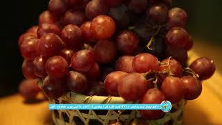 International Agfair 2018 - Pashto Teaser