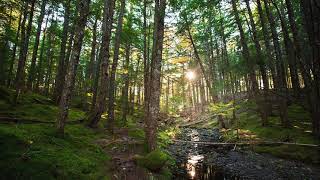 Richness of Living in our Bodies