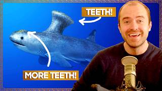 Inside The Bizarre Biology Of Ancient Sharks