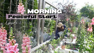 DAILY GARDENING - My Secrets About Veggies