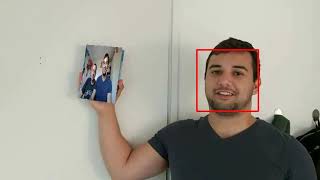 vid2vid ext