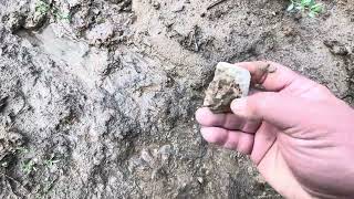 Nice Etley find