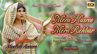 New Masihi Geet || Mera Nasree Mera Rehbar || Meerab Azeem || Best Worship Song #rztechstudio