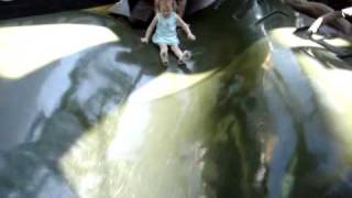 chubby video.wmv
